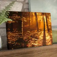 Loon Peak "Morning Light" Photographic Print on Canvas