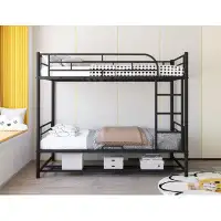 Isabelle & Max™ Achillefs Kids Twin Over Twin Bed