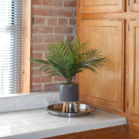Primrue 23'' Artificial Palm Plant in Decorative Vase