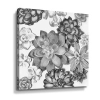 Dakota Fields Charcoal Grey Monochrome Watercolor Succulent Plants Wall Garden III Gallery Wrapped