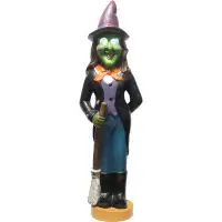 Haunted Hill Farm Haunted Hill Farm 4-Ft. Scary Witch Holding A Broom Prelit LED Resin, Indoor Or Covered Outdoor Hallow