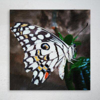 Gracie Oaks Black And White Butterfly Perched On Green Plant - 1 Piece Rectangle Graphic Art Print On Wrapped Canvas