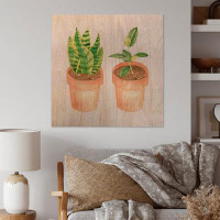 Red Barrel Studio Sansevieria & Ficus Indoor Green Home House Plants - on