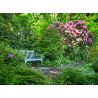 Ebern Designs USA  Pennsylvania Rhododendron And Bench In A Park Setting Poster Print By Julie Eggers (24 X 18) # US39JE