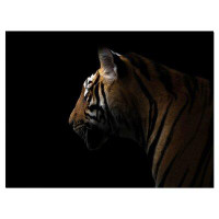 Made in Canada - East Urban Home 'Bengal Tiger Portrait in the Dark' Graphic Art Print on Wrapped Canvas
