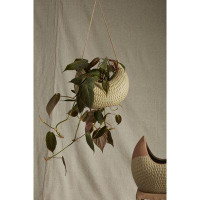 Wrought Studio Ceramic Hanging Planter