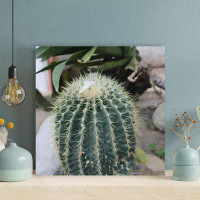 Foundry Select Green Cactus Plant On Grey Concrete - 1 Piece Square Graphic Art Print On Wrapped Canvas