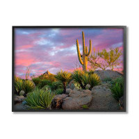 Stupell Industries Stupell Industries Pink Sunrise Arid Cactus Plants Framed Giclee Art By Dennis Frates_815