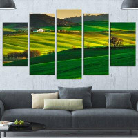 Made in Canada - Design Art 'Trees and Farmland near Volterra' Photograph Multi-Piece Image on Canvas