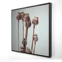 Begin Edition International Inc. Sepia poppy head plants - 36"x36" Framed canvas
