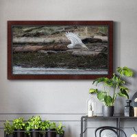 Millwood Pines Solo Flight Premium Framed Canvas- Ready To Hang