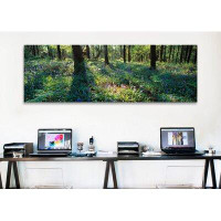 Ebern Designs Bluebells growing in a forest, Exe Valley, Devon, England by Panaromic Images - Gallery-Wrapped Canvas Gic