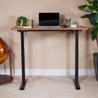 Inbox Zero Electric Height Adjustable Standing Desk with 48"W x 24"D Table Top