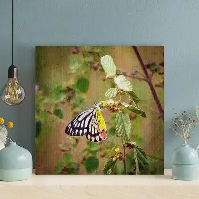 Latitude Run® A Black And Yellow Butterfly On A Green Plant During Daytime - 1 Piece Rectangle Graphic Art Print On Wrap