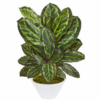 Ebern Designs Maranta Artificial Foliage Plant in Vase