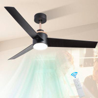 Ivy Bronx Ilyaas Ceiling Fan with LED Lights