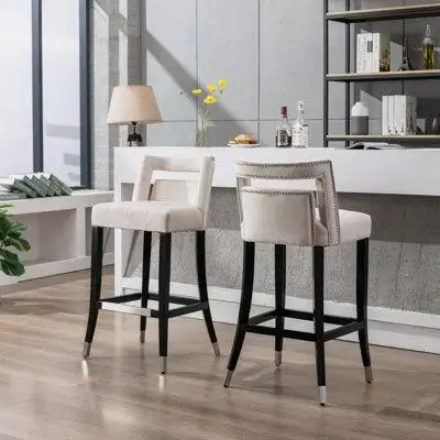 Rosdorf Park Velvet Barstool with nailheads Living Room Chair 2 pcs Set