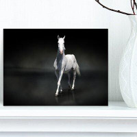 Made in Canada - Design Art Isolated Black Horse on Black - Wrapped Canvas Graphic Art Print