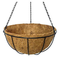 Winston Porter Hanging Wire Basket With Coco Liner