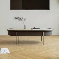 STAR BANNER Italian Minimalist Light Luxury High Sense Oval Coffee Table