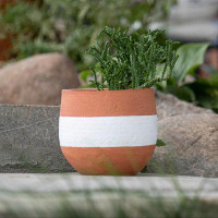Latitude Run® Terracotta Pot Planter