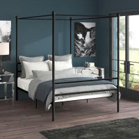 Greyleigh™ Teen Lolington Canopy Bed