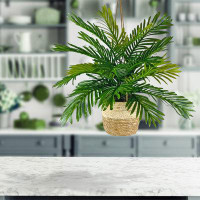 Beachcrest Home Johnson 30'' Artificial Palm Plant in Basket