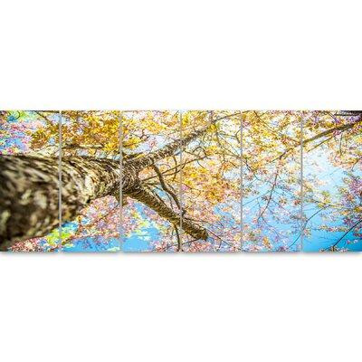 Design Art 'Under Branch of Yellow Cherry Tree' 6 Piece Photographic Print on Wrapped Canvas Set in Arts & Collectibles