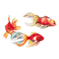 Red Barrel Studio Goldfish