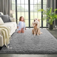 Everly Quinn Grey Area Rug For Bedroom Living Room Carpet Home Decor, Upgraded 5X8 Cute Fluffy Shag Nursery Rug For Baby