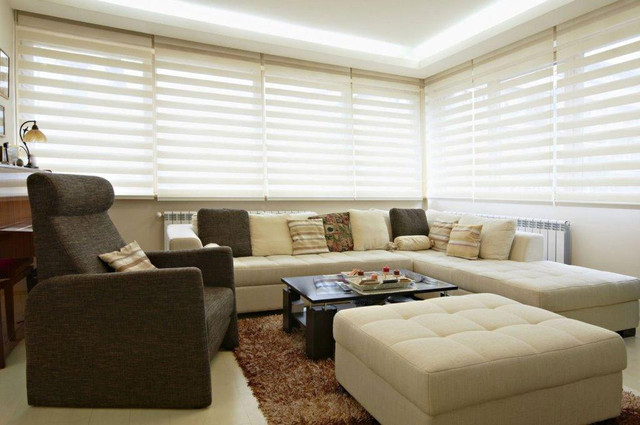 OriginalBlinds.c Get up to 35% Off Sale! New Twilight Zebra Sheer Shades Custom Made Light Filtering Blackout Dual Layer in Window Treatments
