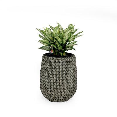 Bay Isle Home™ Anderzon Pot Planter in Patio & Garden Furniture