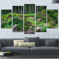 Design Art 'Wild Deep Forest Rocks and Hills' 5 Piece Photographic Print on Wrapped Canvas Set