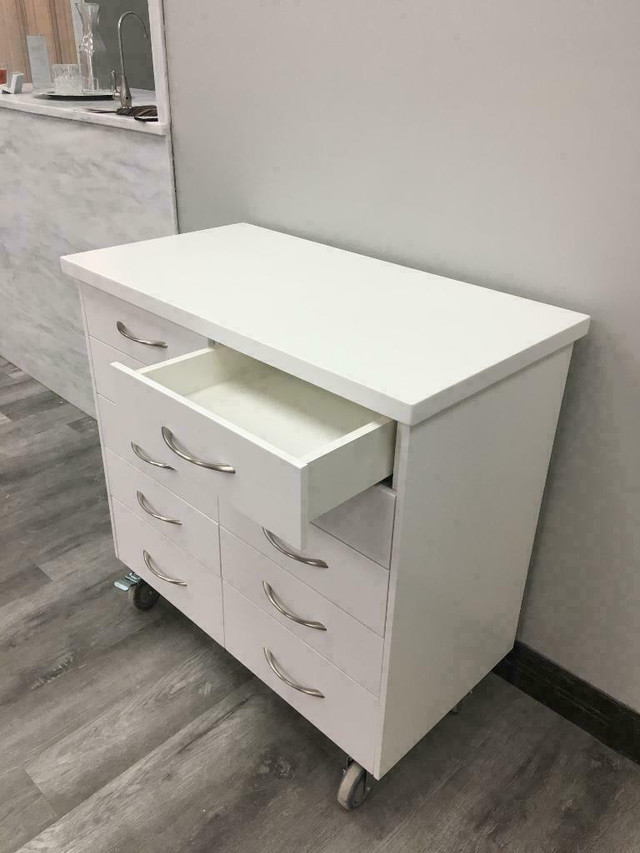 Health and Dental Clinic Renovations and Custom Builds **Non-porous, Bacteria Resistant materials** in Cabinets & Countertops in Calgary - Image 3