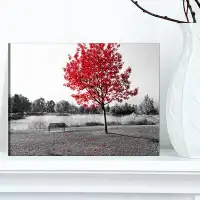 Astoria Grand Red Tree over Park Bench - Wrapped Canvas Photograph Print