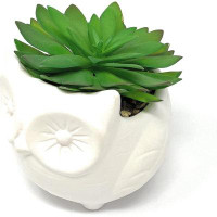 Primrue Primrue 3.9" H Faux Succulent in White Ceramic Owl Planter