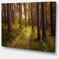 Made in Canada - Design Art Road through Thick Fall Forest - Wrapped Canvas Photograph Print