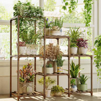 Arlmont & Co. Wood Plant Rack for Multiple Plants 3 Tiers Ladder Plant Holder for 7 Plant Pots