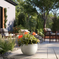 Latitude Run® High Round Large Tall Outdoor / Indoor Concrete Succulent Planters Plant Pot