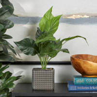 Primrue Barneveld 20'' Faux Foliage Plant in Ceramic Pot