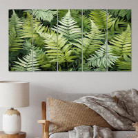 Gracie Oaks Ferns Enchanting Ferns II - Floral Wall Art Living Room - 5 Equal Panels