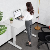 Latitude Run® Bronder 48" Electric Height Adjustable Standing Desk