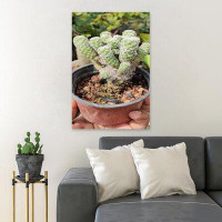 Foundry Select Green Cactus Plant On Black Plastic Pot - 1 Piece Rectangle Graphic Art Print On Wrapped Canvas