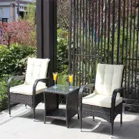 Winston Porter Outdoor Patio Furniture Set With Seat Cushions