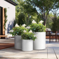 Latitude Run® 10", 13" , 16" High Crisp White Round Large Tall Outdoor / Indoor Concrete Succulent Planters Plant Pot  S