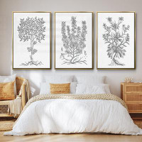 Wexford Home B&W Plant Specimen IVFramed Premium Gallery Wrapped Canvas Set of 3