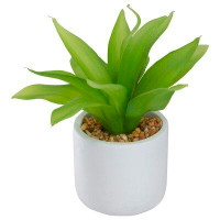 Northlight Seasonal 8" Green Artificial Aloe Plant In A White Pot