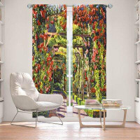 East Urban Home Lined Window Curtains 2-Panel Set For Window From East Urban Home By David Lloyd Glover - Paris Rose Arb
