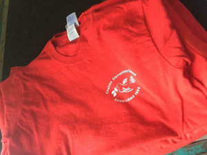 Wholesale Custom Printed T-shirts - 24 Shirt Minimum Kitchener / Waterloo Kitchener Area Preview