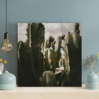 Foundry Select Green Cactus Plant 30 - 1 Piece Square Graphic Art Print On Wrapped Canvas
